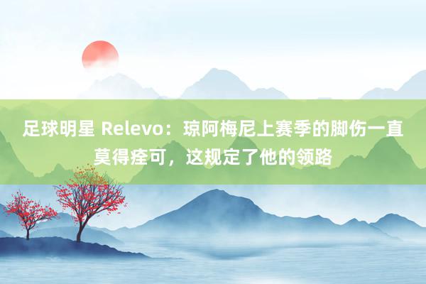 足球明星 Relevo：琼阿梅尼上赛季的脚伤一直莫得痊可，这规定了他的领路