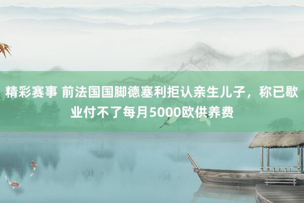 精彩赛事 前法国国脚德塞利拒认亲生儿子，称已歇业付不了每月5000欧供养费