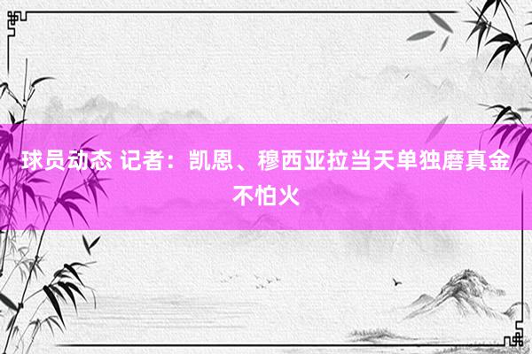 球员动态 记者：凯恩、穆西亚拉当天单独磨真金不怕火