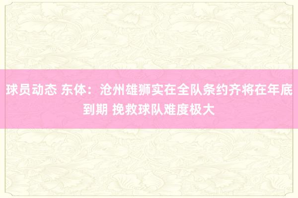 球员动态 东体：沧州雄狮实在全队条约齐将在年底到期 挽救球队难度极大