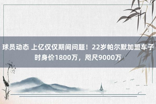 球员动态 上亿仅仅期间问题！22岁帕尔默加盟车子时身价1800万，咫尺9000万