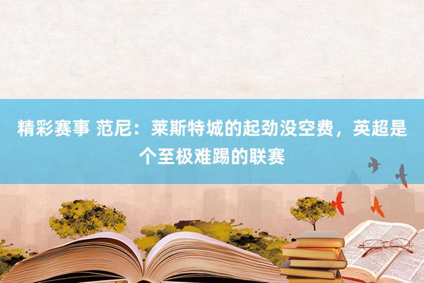 精彩赛事 范尼：莱斯特城的起劲没空费，英超是个至极难踢的联赛