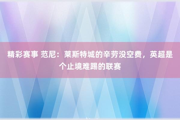 精彩赛事 范尼：莱斯特城的辛劳没空费，英超是个止境难踢的联赛