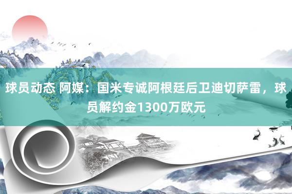 球员动态 阿媒：国米专诚阿根廷后卫迪切萨雷，球员解约金1300万欧元