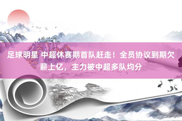 足球明星 中超休赛期首队赶走！全员协议到期欠薪上亿，主力被中超多队均分