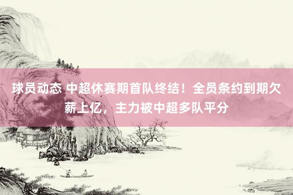 球员动态 中超休赛期首队终结！全员条约到期欠薪上亿，主力被中超多队平分